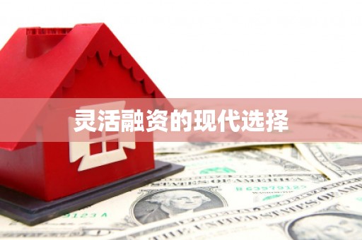 延安灵活融资的现代选择