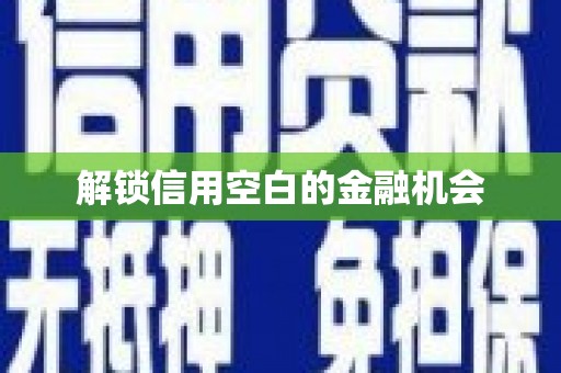 松北解锁信用空白的金融机会