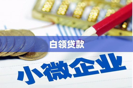 公馆白领贷款