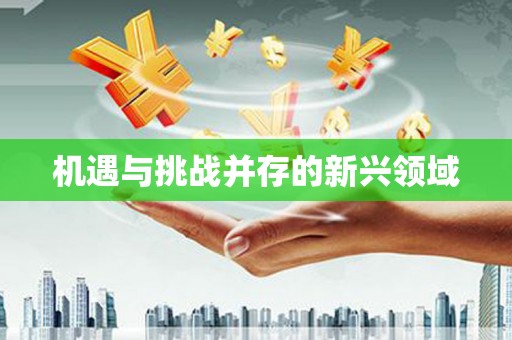 隆尧机遇与挑战并存的新兴领域
