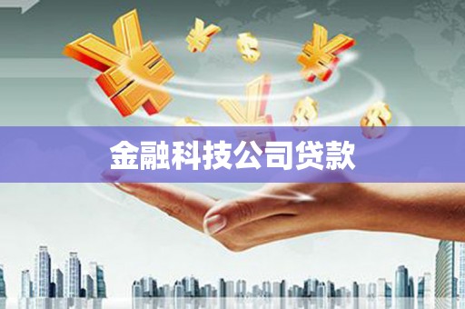 水林金融科技公司贷款