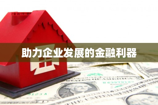 岳塘助力企业发展的金融利器