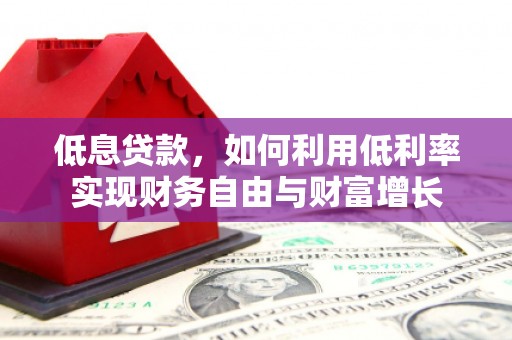 新野低息贷款，如何利用低利率实现财务自由与财富增长