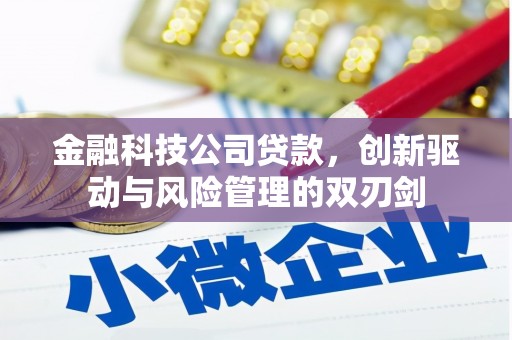 新邱金融科技公司贷款，创新驱动与风险管理的双刃剑