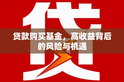 乐东贷款购买基金，高收益背后的风险与机遇